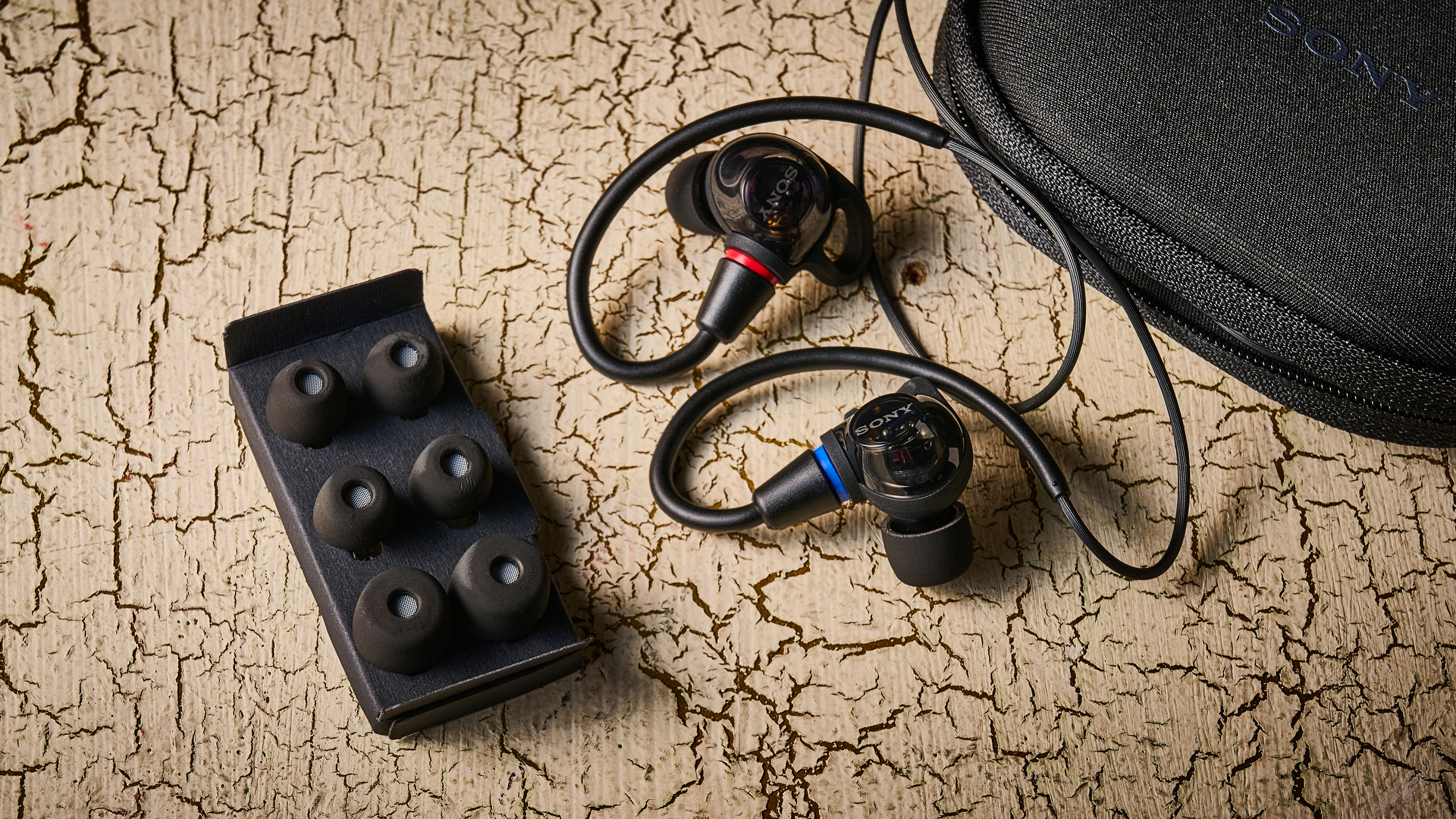 Sony IER-M500