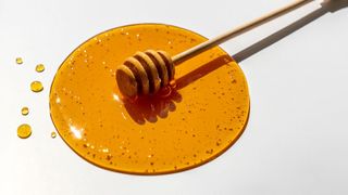 honey dripper placed in a small pool of honey on a blank background