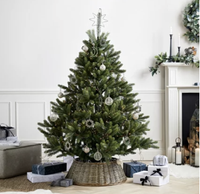 Symons Nordmann 6ft Fir Christmas Tree, £445.00 | The White Company