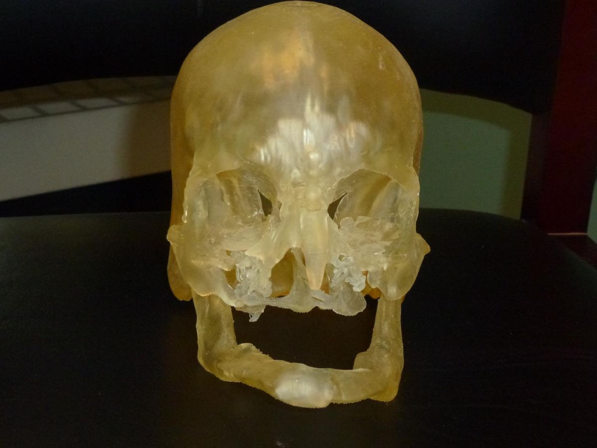 A 3D printed model of a face.