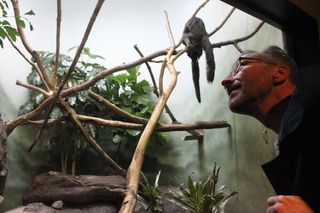 Menno Schilthuizen, author of "Nature's Nether Regions" (Viking, 2014), looks at saki monkeys at the Prospect Park Zoo.