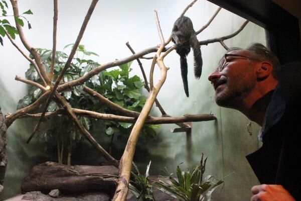 Menno Schilthuizen, author of &quot;Nature&#039;s Nether Regions&quot; (Viking, 2014), looks at saki monkeys at the Prospect Park Zoo.