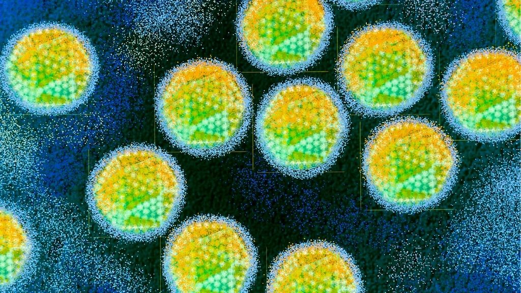 Darstellung von Adenoviren vor dunklem Hintergrund