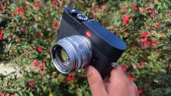 Leica 50mm Summilux f/1.4