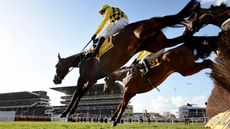 Cheltenham Festival tips Al Boum Photo, 1st (nearside) leads over the last 13-3-20