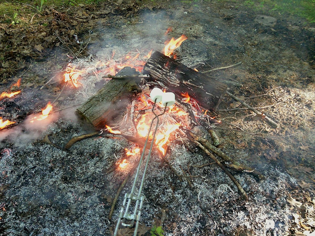 Sample image taken with the Camp Snap 2