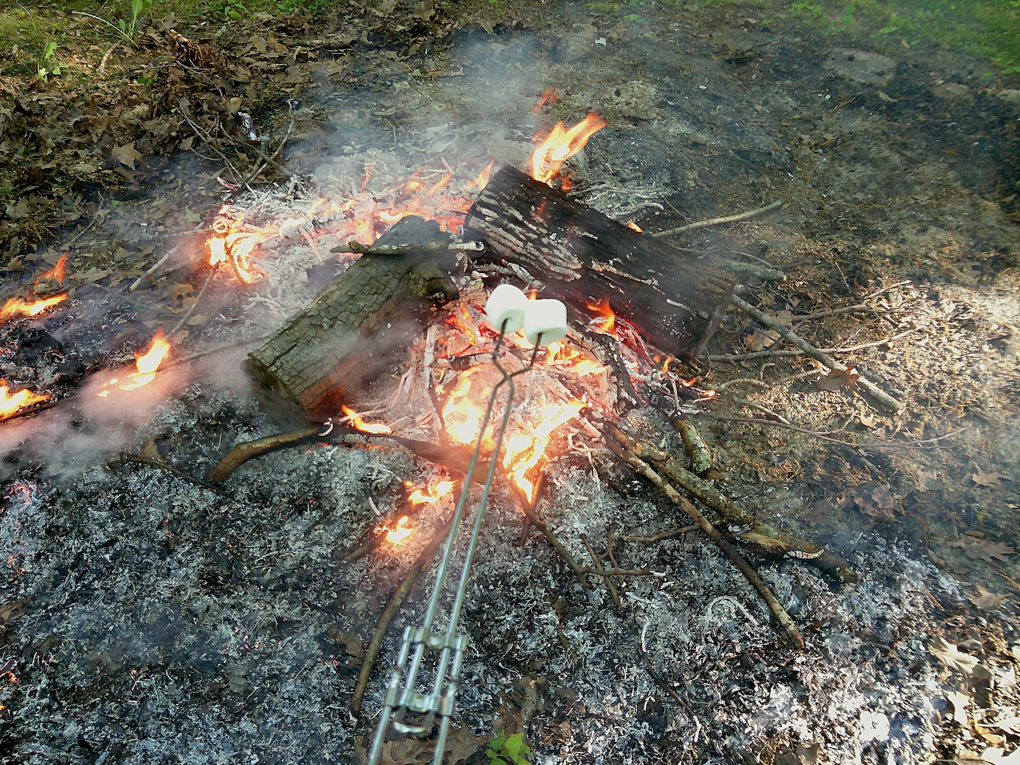 Sample image taken with the Camp Snap 2