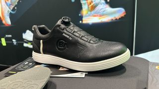 The smart insole in a shoe