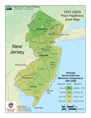 USDA Plant Hardiness Zone Map for New Jersey