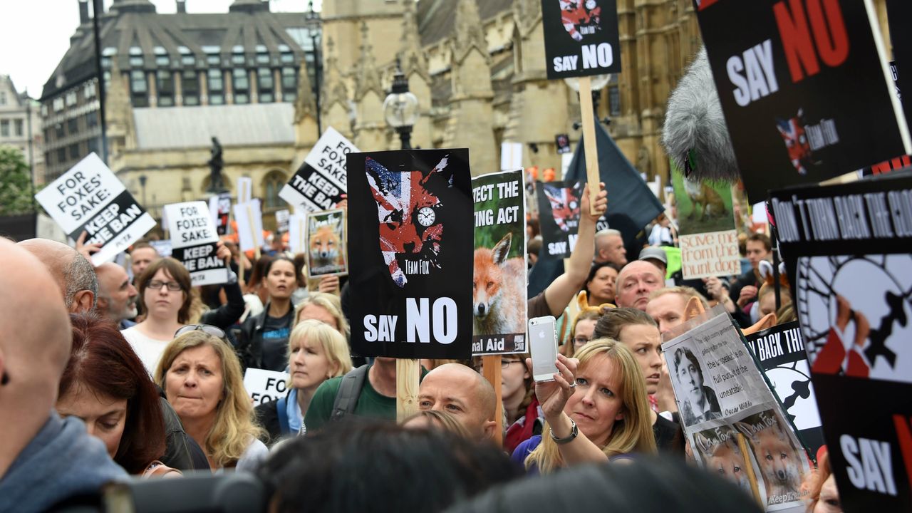 Anti-fox hunting rally