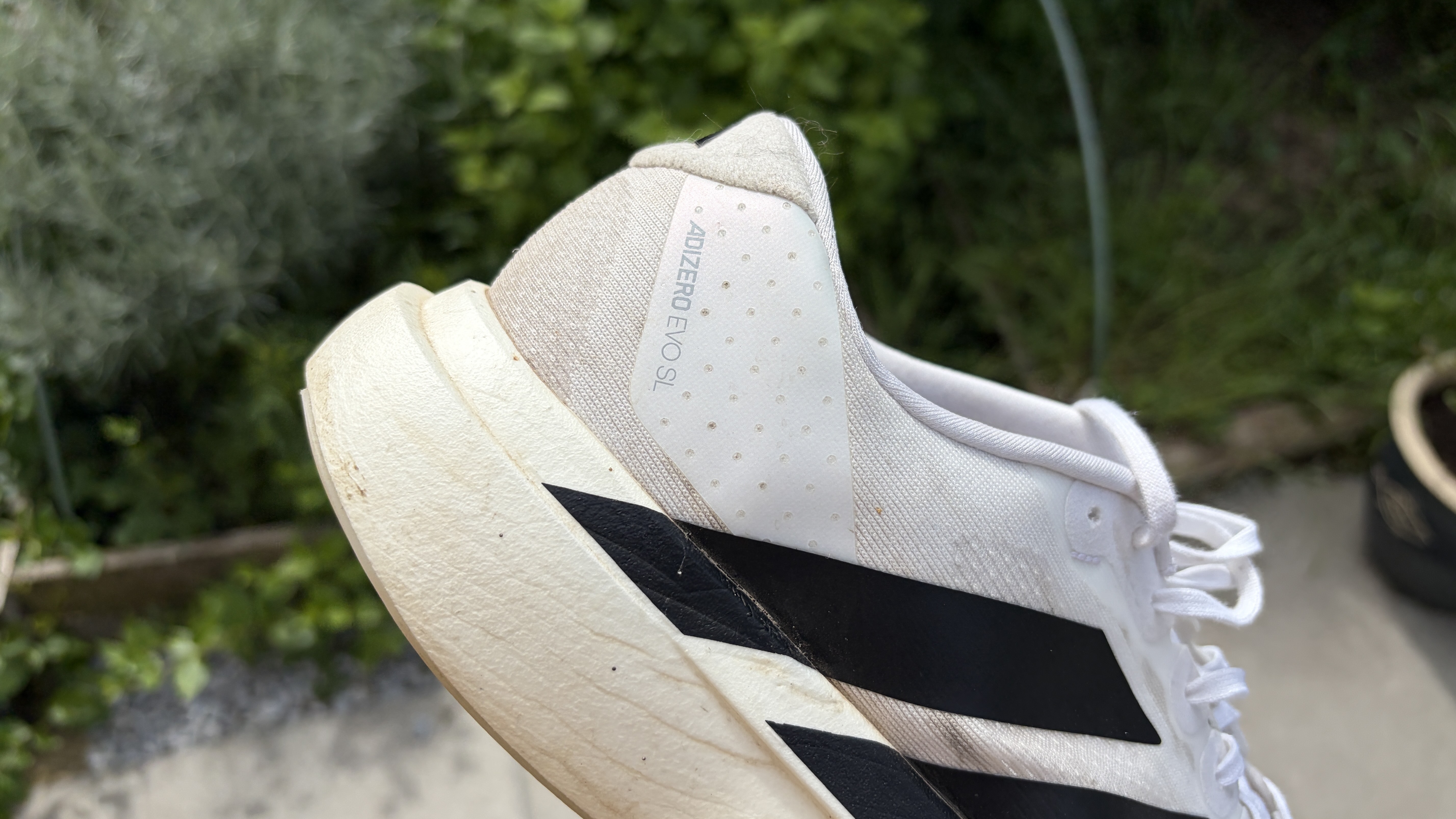 Adidas Adizero Evo SL