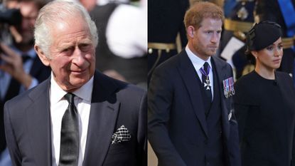 King Charles saw ‘tremendous flickers of hope’ for 'unity' with Prince Harry and Meghan, seen here side-by-side
