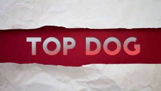 Top dog banner