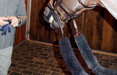 Simon-Delestre-reins.jpg