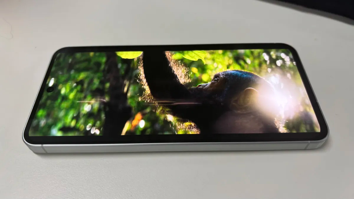 Samsung Galaxy A56