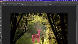 Photo of two deer within Photoshop interface
