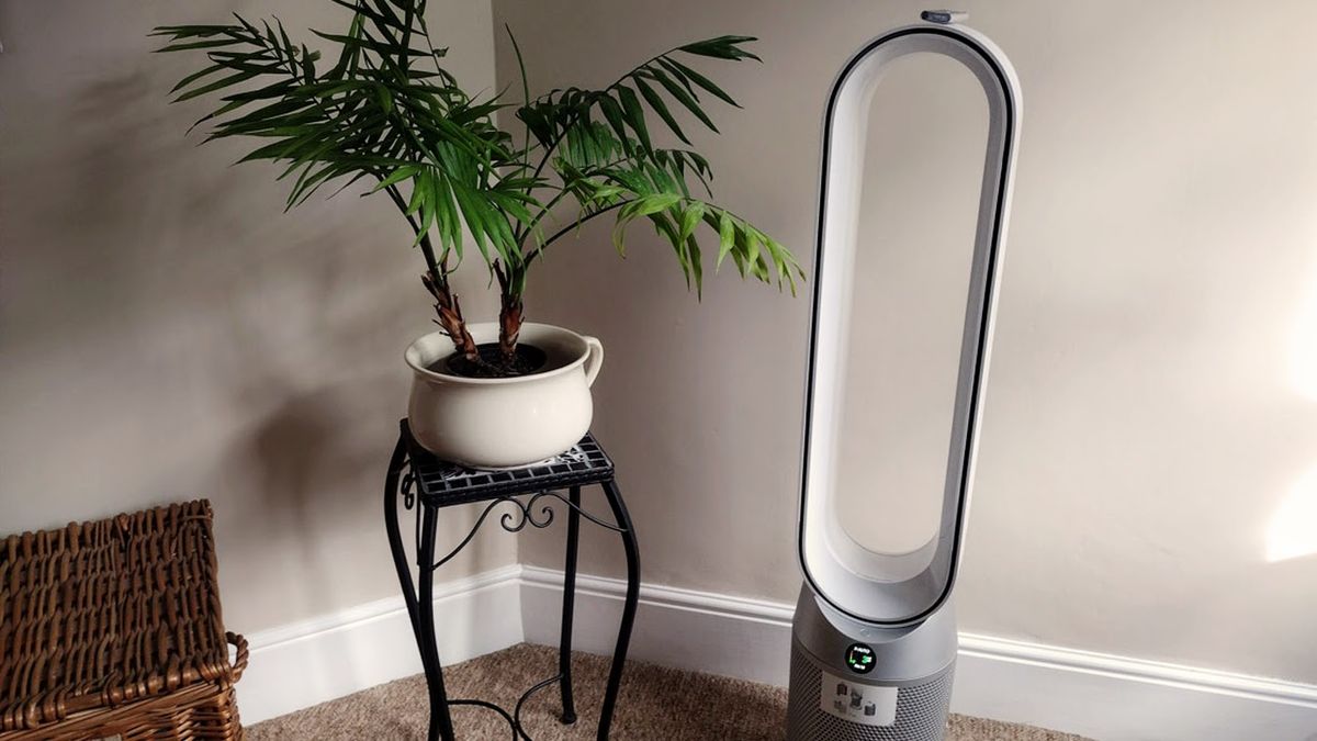 Dyson Purifier Cool being tested in writer&#039;s home