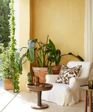 porch with yellow painted walls, white upholstered armchair, round coffee table, large potted plants, stone floor, view outside