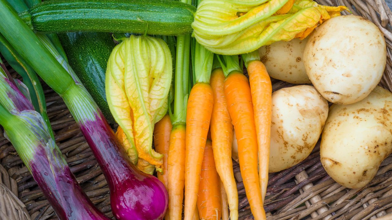 Basket filled with vegetables from a garden