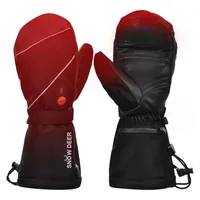 SNOW DEER Heated Ski Mittens for Men and Women