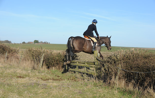 Belvoir Hunt 07.03.15