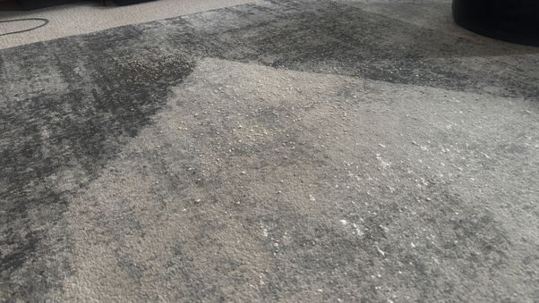 Shark PowerDetect UV Reveal debris test on carpet