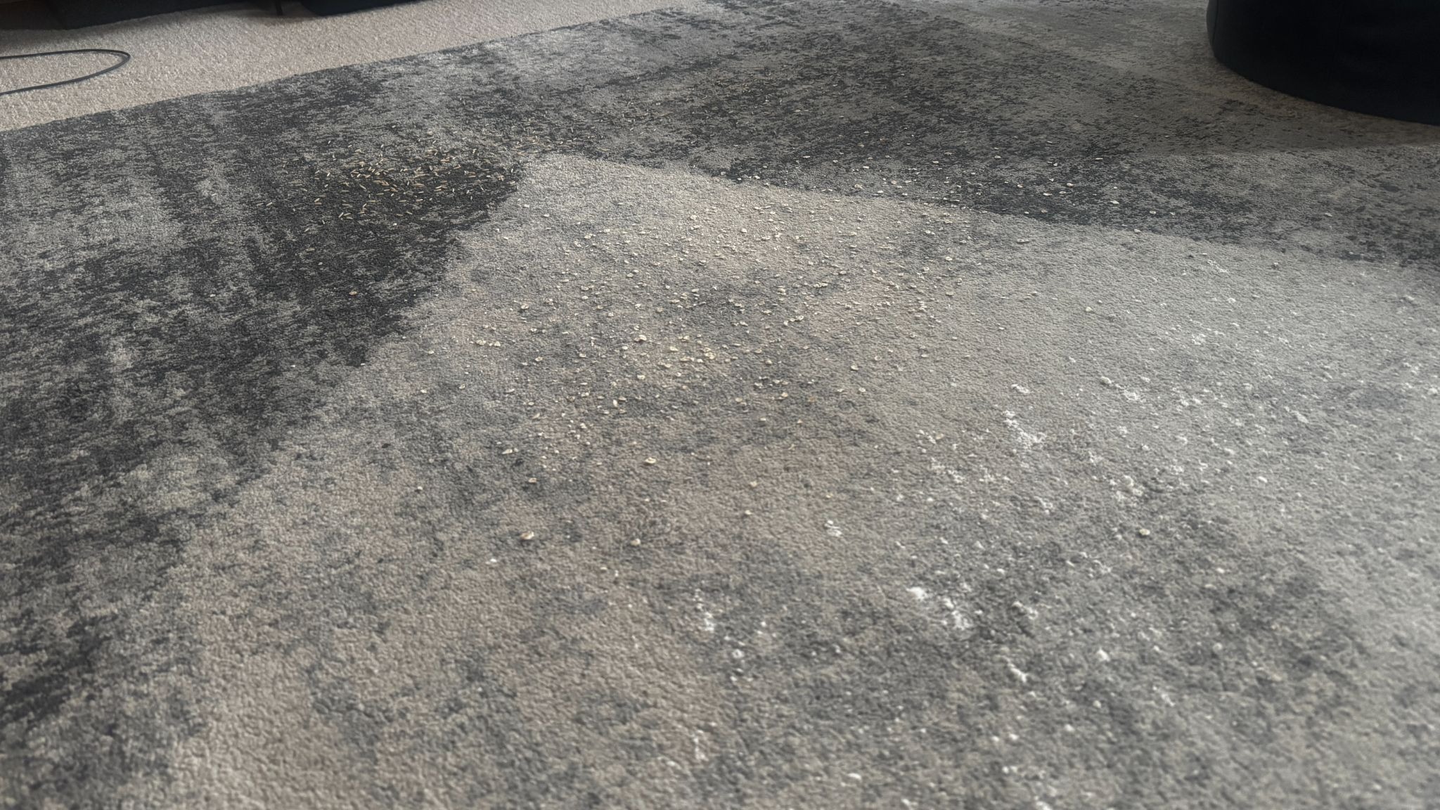 Shark PowerDetect UV Reveal debris test on carpet