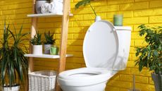 yellow bathroom with white toilet and ladder storage system with towels