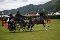 Emily Ham and Alfie winning the arena challenge at Three Counties