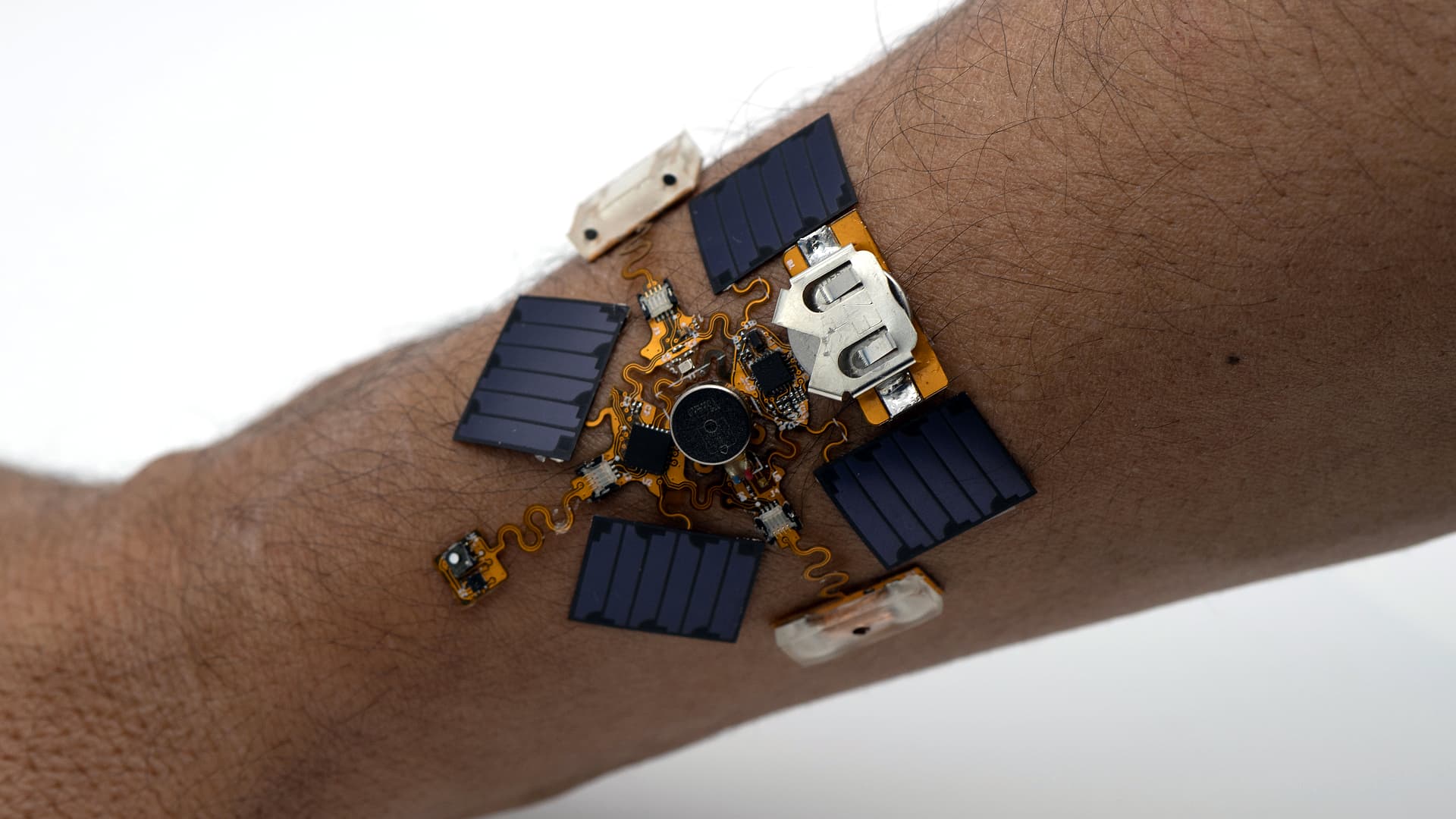 A wearable poison-detection patch developed by North Carolina State University.