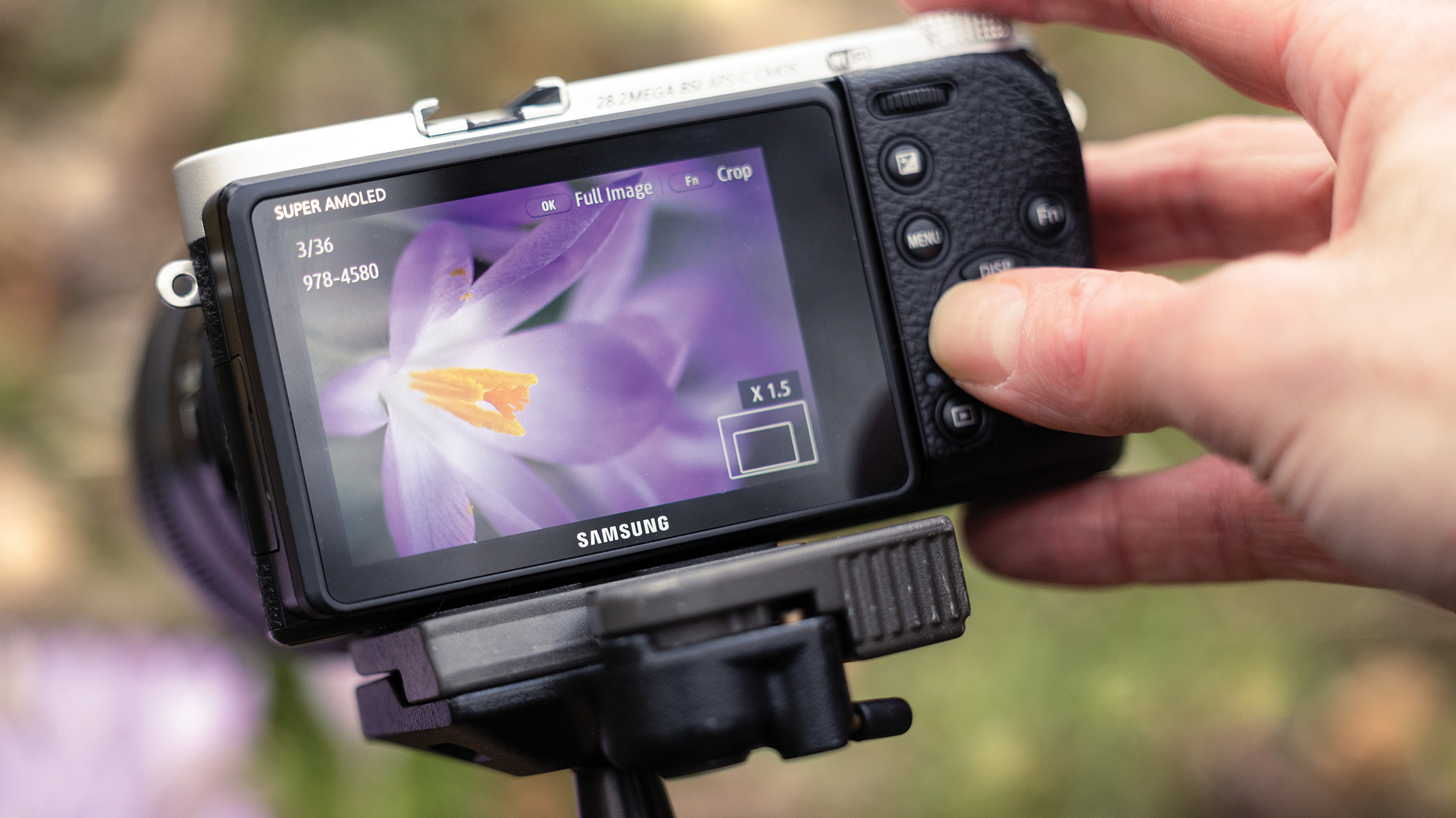 Close-up of a hand adjusting a Samsung camera displaying a purple flower with yellow stamens on its screen