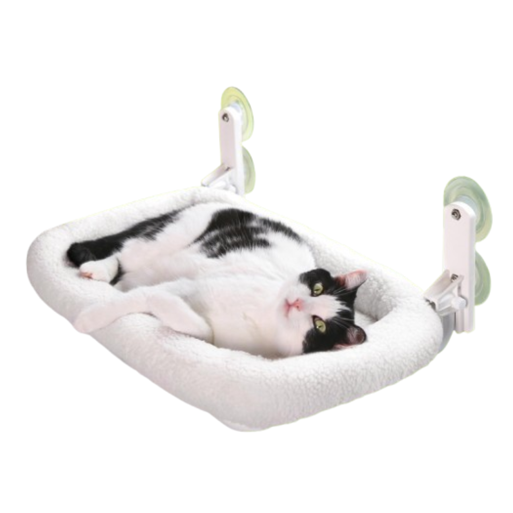 Zakkart Foldable Cat Hammock for Windows with a black and white cat lying down in it, one of the best cat hammocks