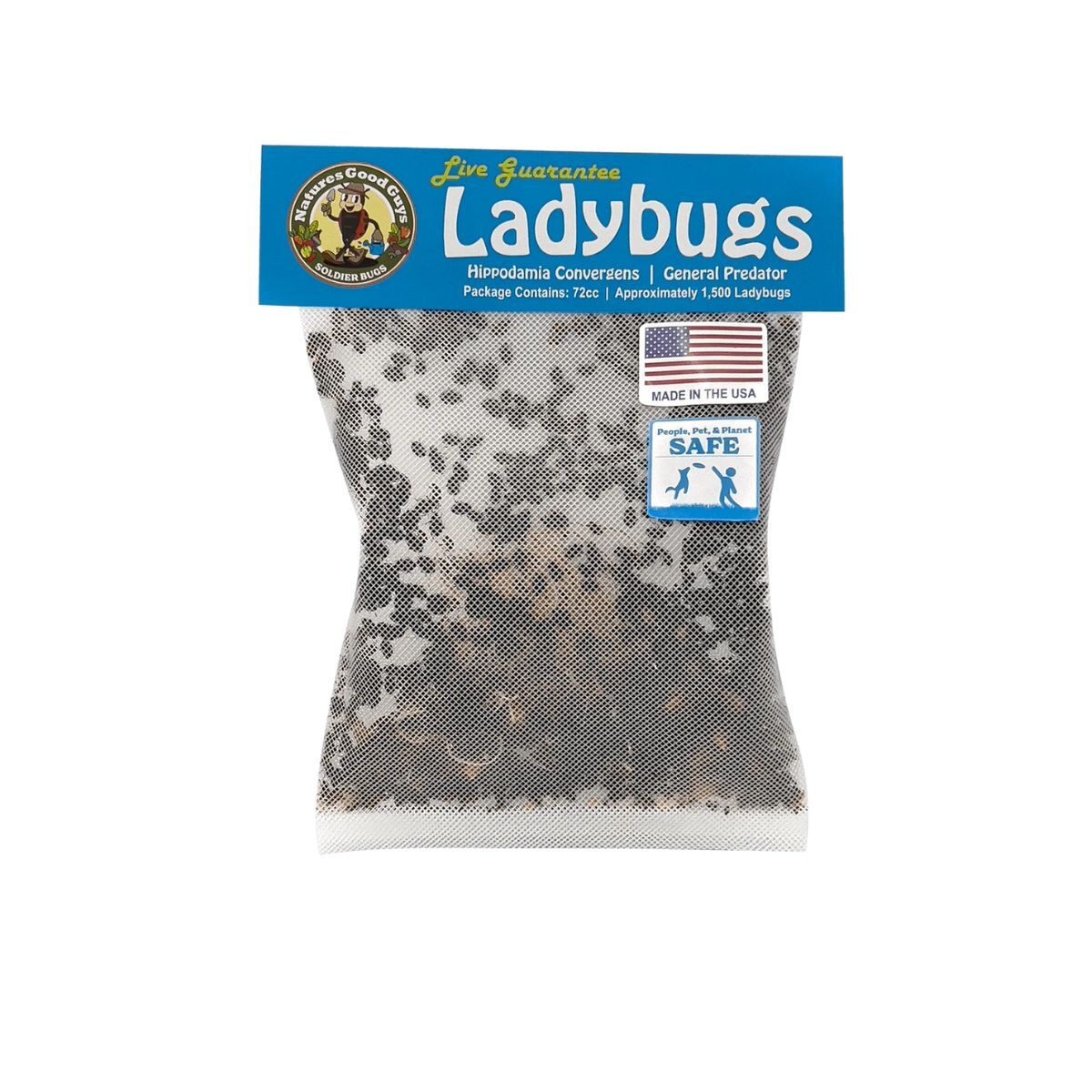 A bag of live ladybugs