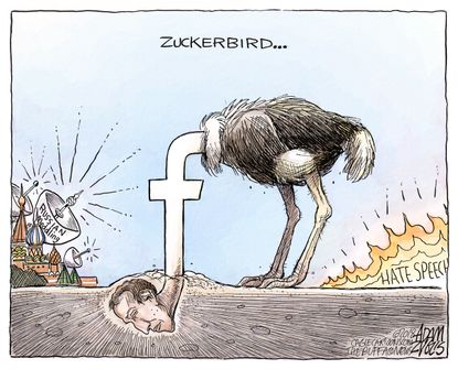 U.S. Zuckerbird Mark Zuckerberg head in sand hate speech accountability