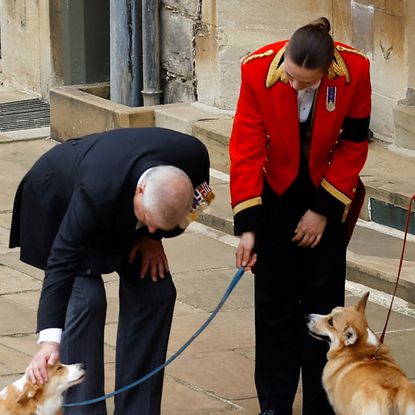 Andrew Mountbatten-Windsor petting one of the late Queen's corgis at her funeral