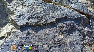 A picture of the ancient inscriptions recently found on a rock face in Tajikistan.