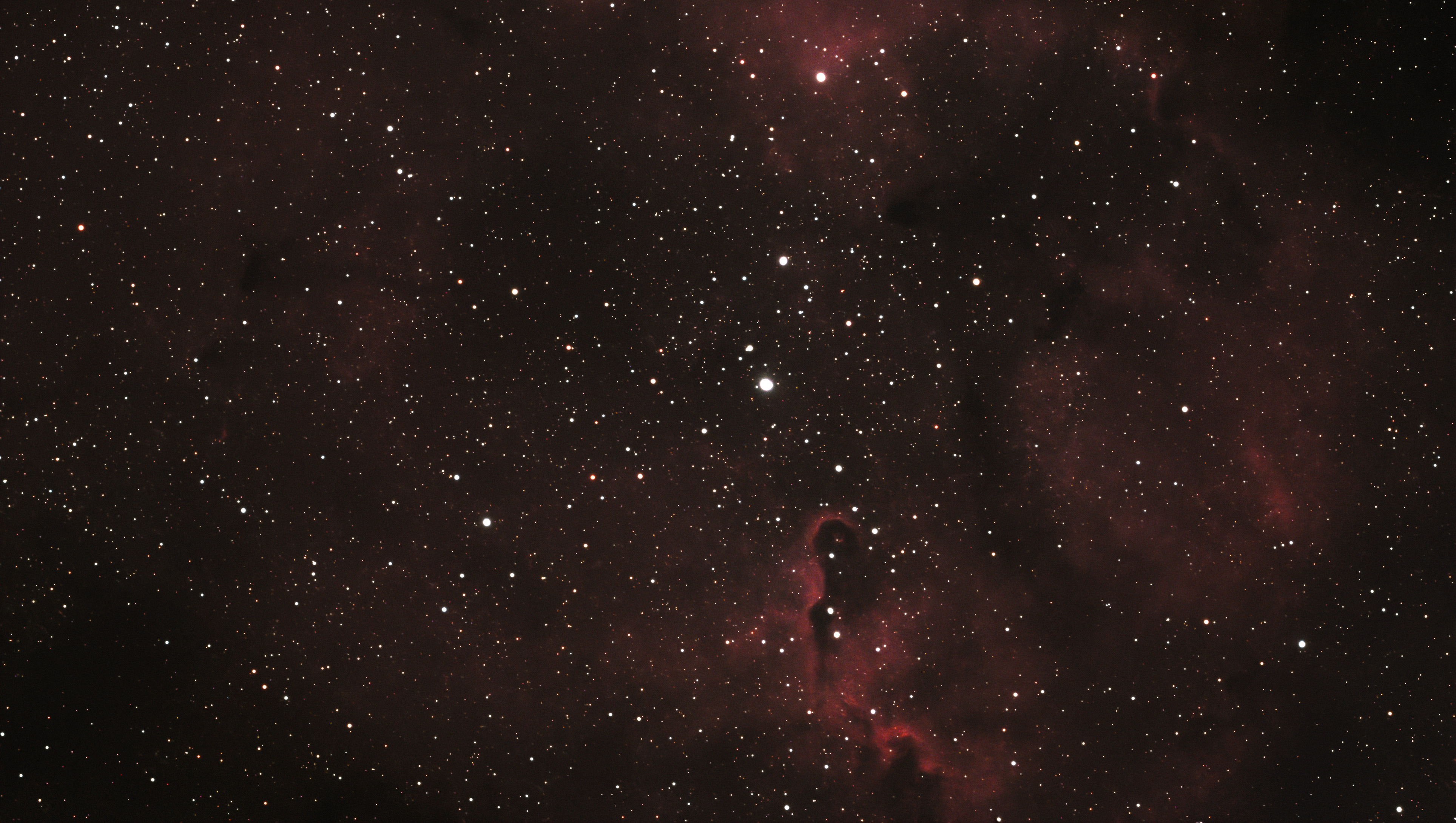 A photograph of the Elephant's Trunk Nebula, taken with the Dwarf III smart telescope, processed in Pixinsight