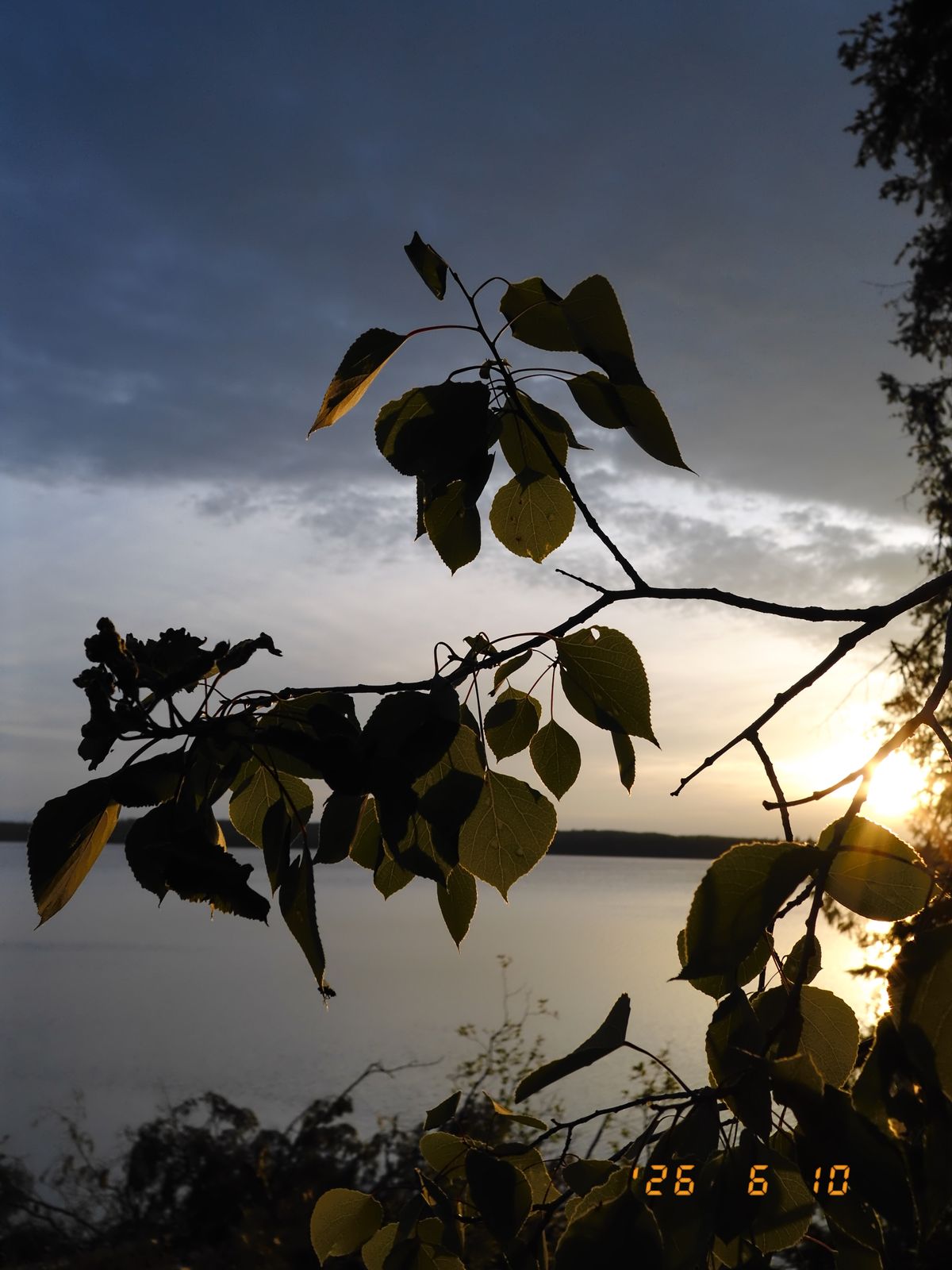 Sample images taken with the Fujifilm X Half