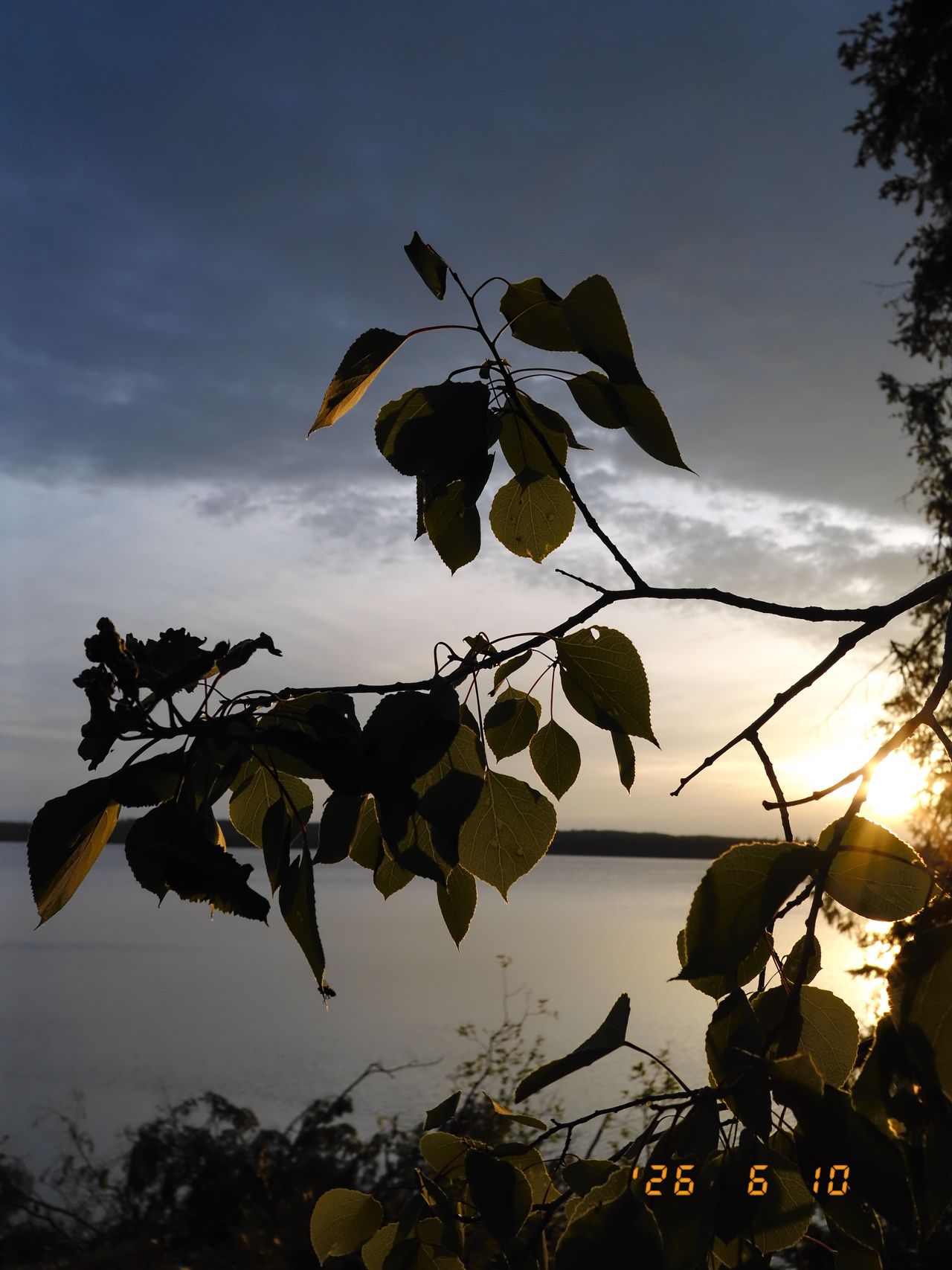 Sample images taken with the Fujifilm X Half