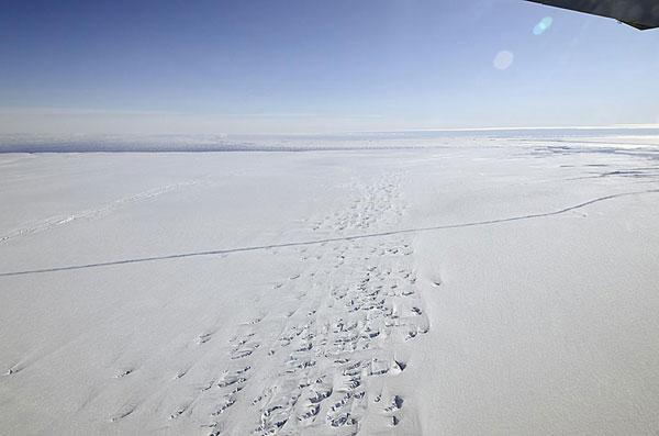 Antarctica Pine Island Glacier