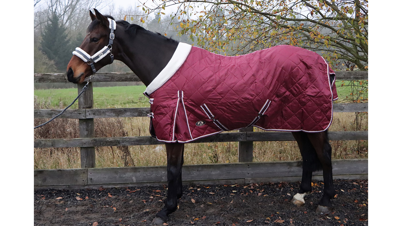 Ruggles 50g lightweight stable rug with fleece collar