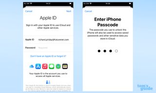 A screenshot of the iOS settings app, showing the Apple ID log-in process