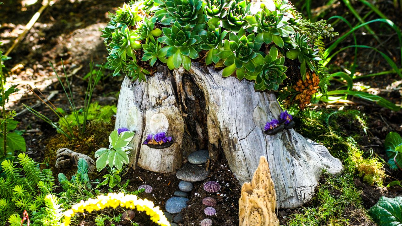 tree stump ideas: fairy house