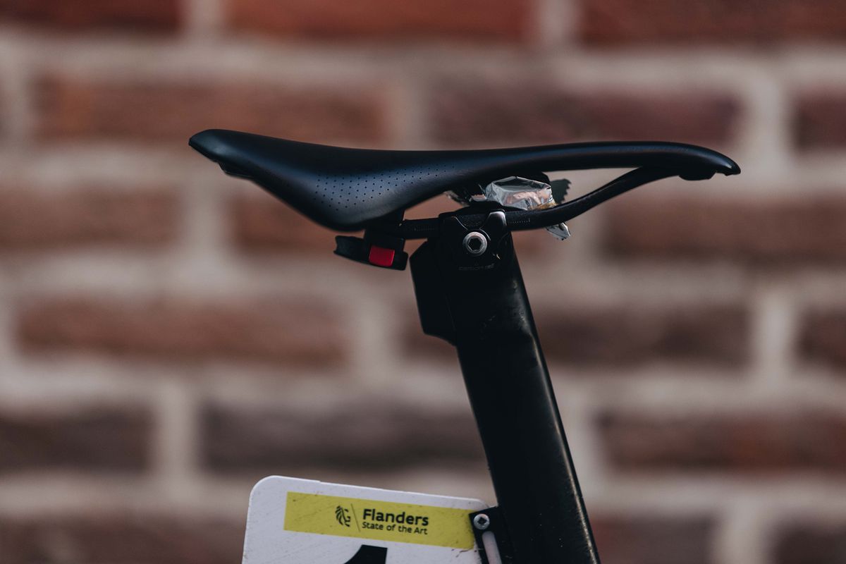 Julian Alaphilippe's Specialized Tarmac SL7