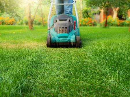 A lawn mower mows a strip in a grass lawn