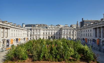 Forest installation by Es Devlin with Somerset House architecture in the backdrop