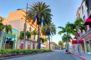 Beverly Hills street with shops and palm trees