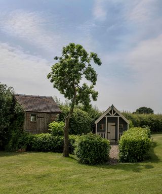 Two sheds near each other on a garden lawn with hedges and a small tree.
