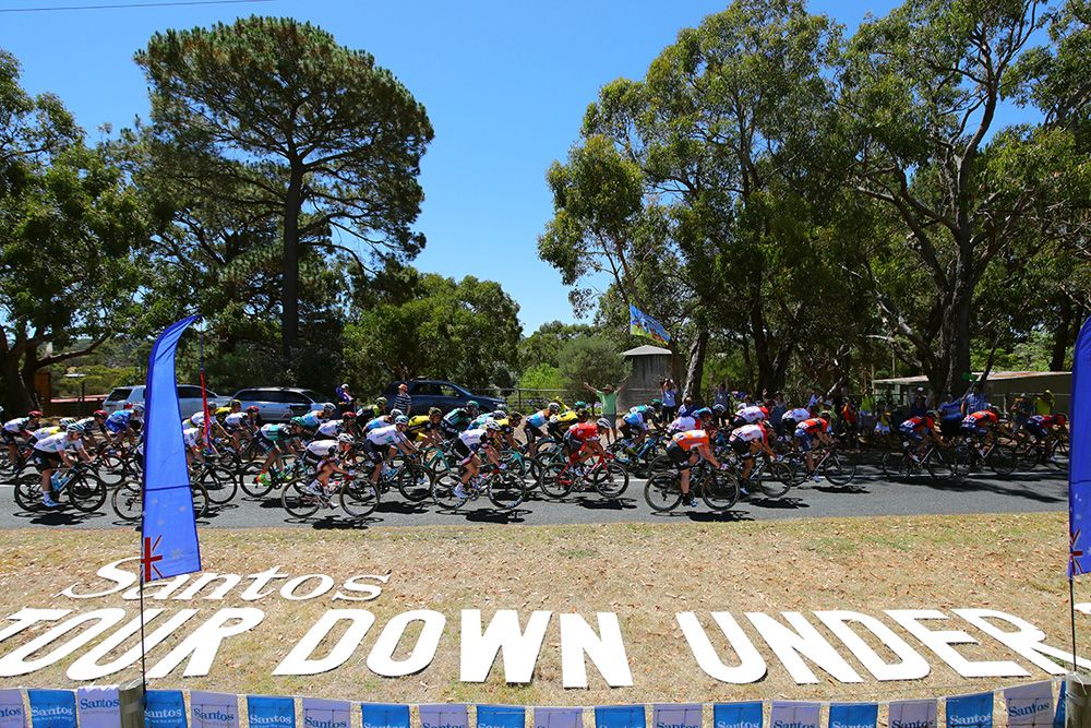 The Tour Down Under peloton