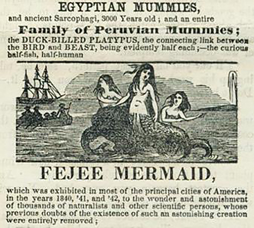 The Feejee Mermaid: Early Barnum Hoax